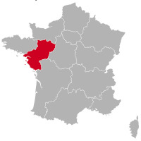 Allevatore di Chihuahua in Pays de la Loire,