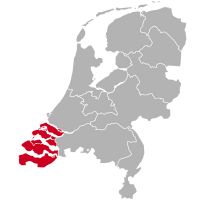 Allevatore di levrieri afgani a Zeeland,